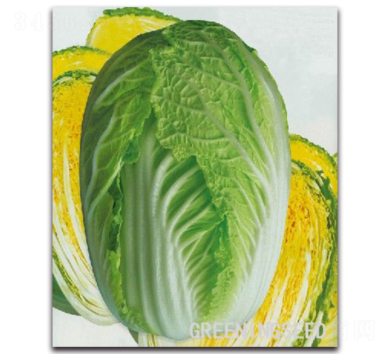 ����-�ײ˷N��-����