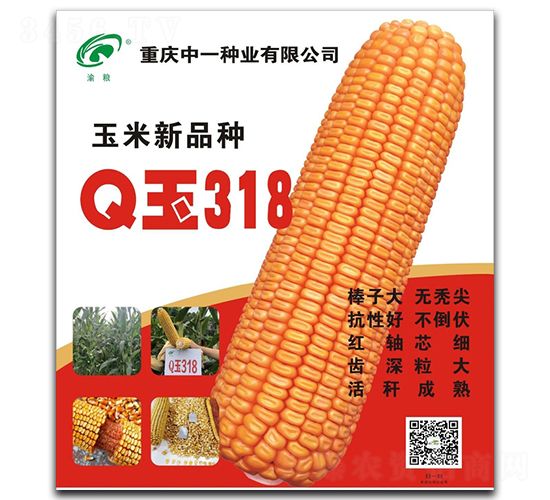 Q��318-���׷N��-��һ�N�I(y��)