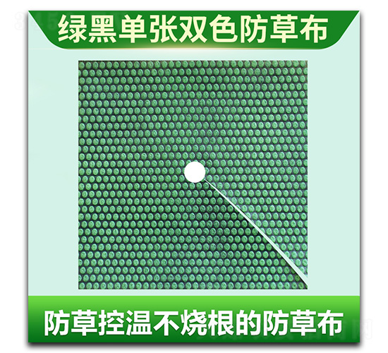 �G�چΏ��pɫ���ݲ�-���E�Ƽ�