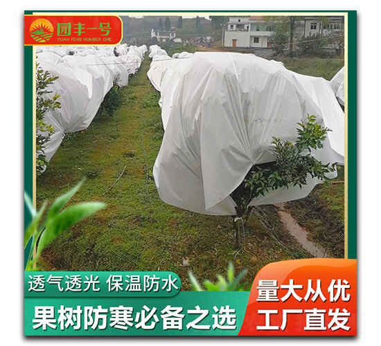 ���������-���E�Ƽ�