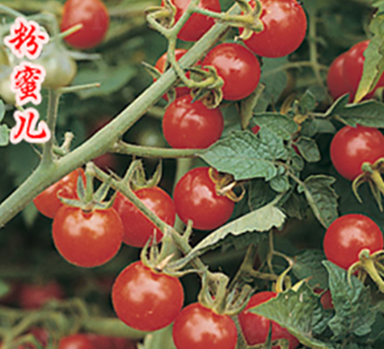 ���ۃ�-���ҷ��ѷN��-�r(n��ng)���r(n��ng)�I(y��)