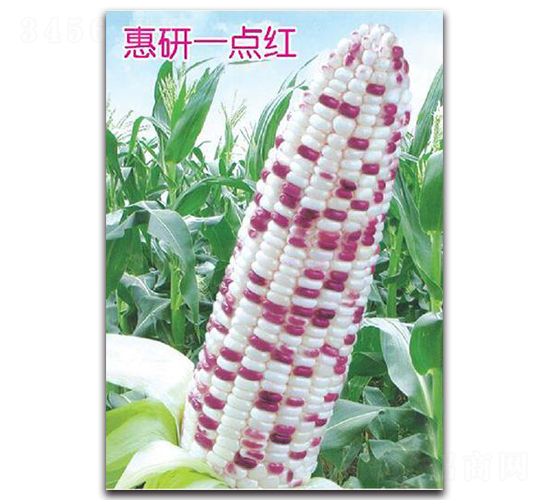 ����һ�c(di��n)�t-���׷N��-�Є�(chu��ng)���S