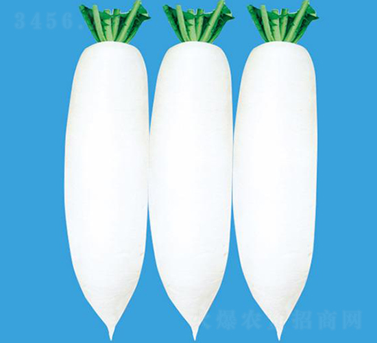 �����-�}���N��-�Є�(chu��ng)���S