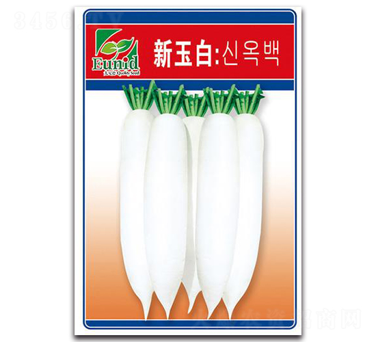 �����-���}���N��-�Є�(chu��ng)���S