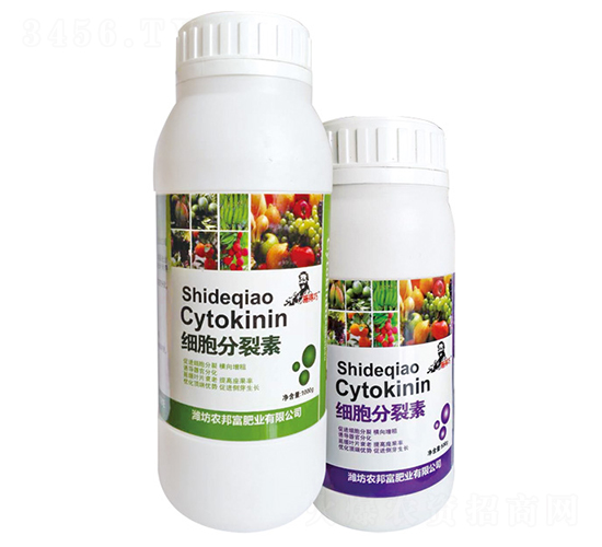 ��(x��)��������-�r(n��ng)�