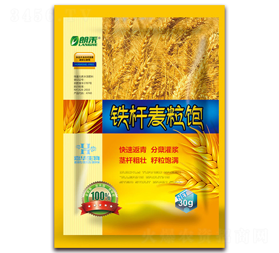 �F�U�����-�ʺ�-���A����