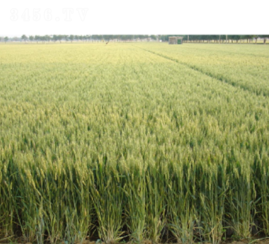 ��(j��)��22-С���N��-�����r(n��ng)�I(y��)