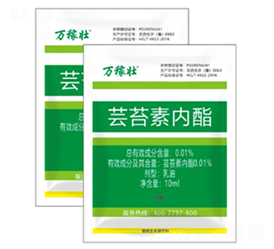 �|̦�؃�(n��i)��-�f�ډ�-�r(n��ng)�_����