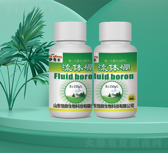 ���w��-�㶦����