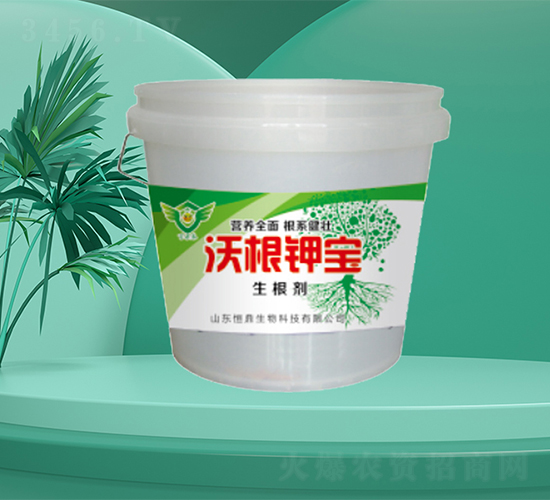 �ָ�⛌�-�㶦����