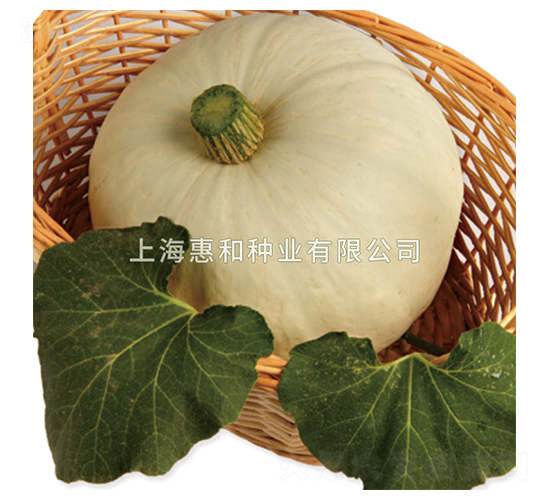 ���-�ϹϷN��-�ݺͷN�I(y��)