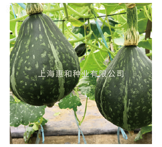 ����-�ϹϷN��-�ݺͷN�I(y��)