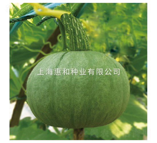 �y����-�ϹϷN��-�ݺͷN�I(y��)