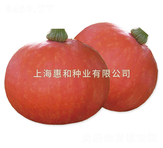 �t��-�ϹϷN��-�ݺͷN�I(y��)