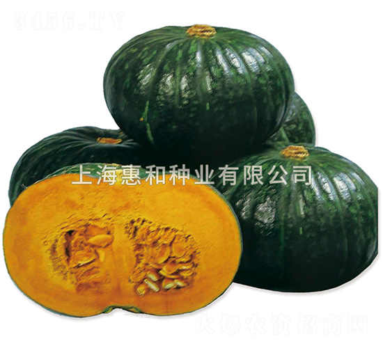 ζ��-�ϹϷN��-�ݺͷN�I(y��)