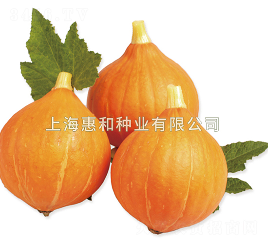 СȪһ��-�ϹϷN��-�ݺͷN�I(y��)