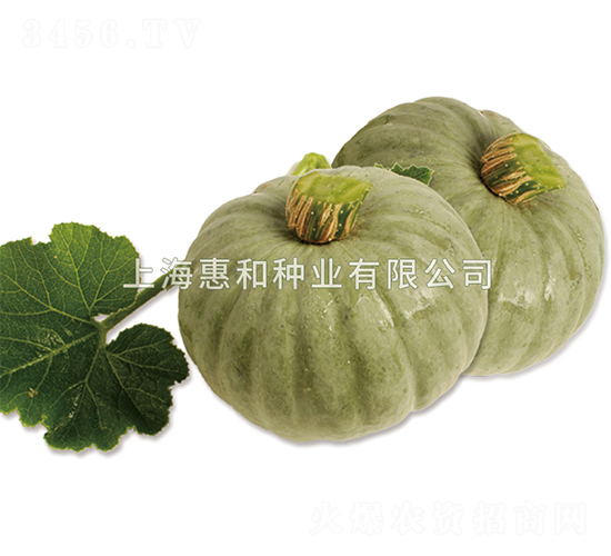 �y��-�ϹϷN��-�ݺͷN�I(y��)