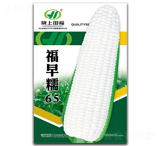 ����Ŵ65-���׷N��-�︣�r(n��ng)�I(y��)