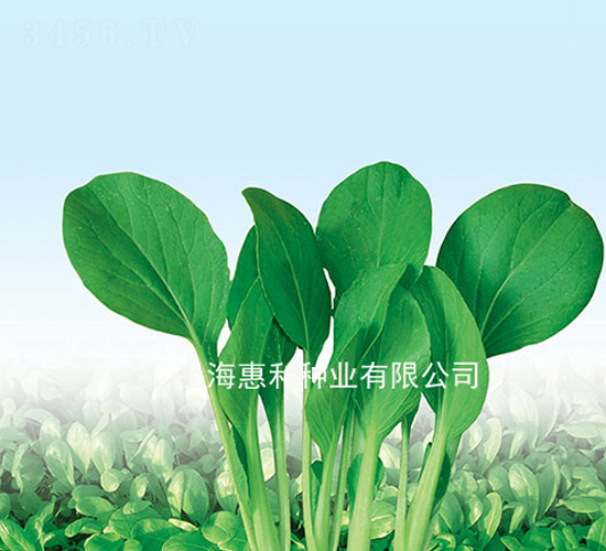 �����uë��-�uë�˷N��-�ݺͷN�I(y��)