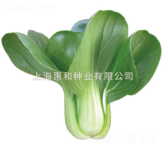 ����-��˷N��-�ݺͷN�I(y��)