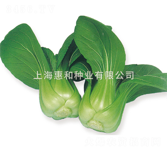 ����-��˷N��-�ݺͷN�I(y��)