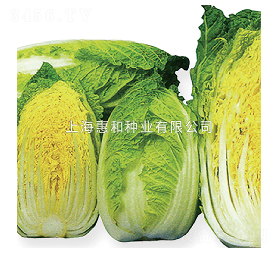 С��-�ײ˷N��-�ݺͷN�I(y��)