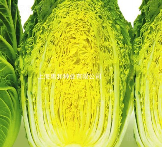 �r�S-�ײ˷N��-�ݺͷN�I(y��)