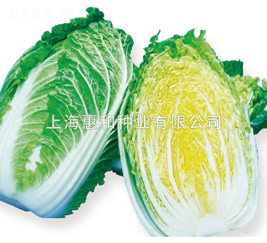 �S��70-�ײ˷N��-�ݺͷN�I(y��)