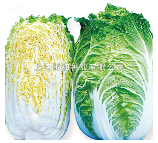 �S��65-�ײ˷N��-�ݺͷN�I(y��)