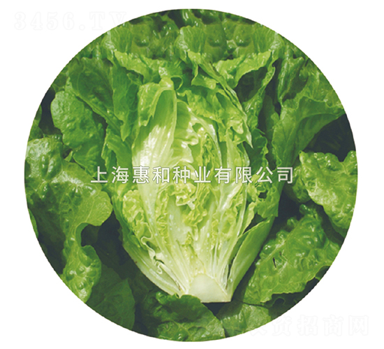 �G��-���˷N��-�ݺͷN�I(y��)