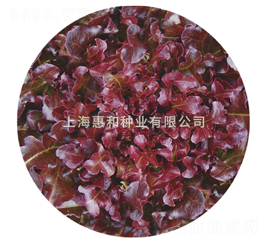 �t���~-���˷N��-�ݺͷN�I(y��)