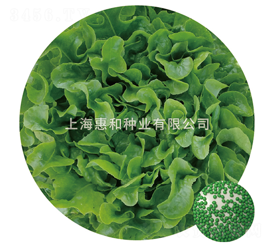 �G��-���˷N��-�ݺͷN�I(y��)