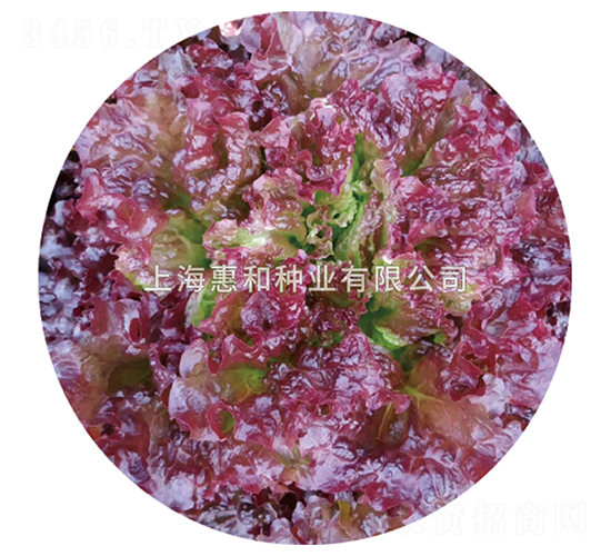 ���G-���˷N��-�ݺͷN�I(y��)