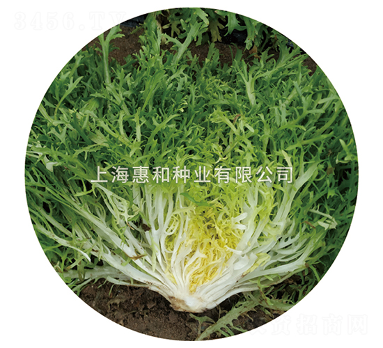 С�~����-���ķN��-�ݺͷN�I(y��)