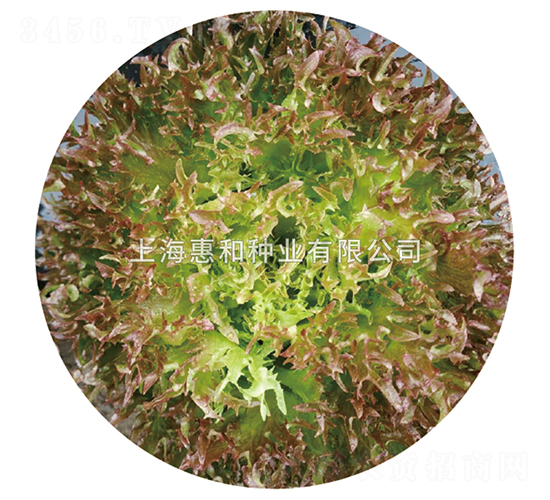 ����-���˷N��-�ݺͷN�I(y��)