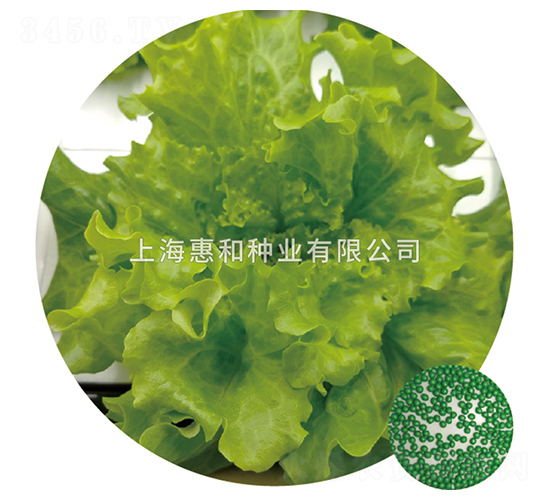 �G���~-���˷N��-�ݺͷN�I(y��)