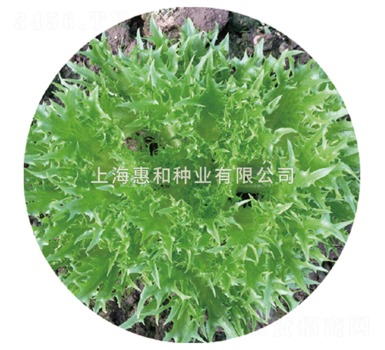 ����-���˷N��-�ݺͷN�I(y��)