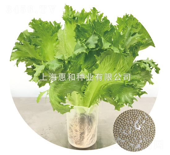 �G��-���˷N��-�ݺͷN�I(y��)