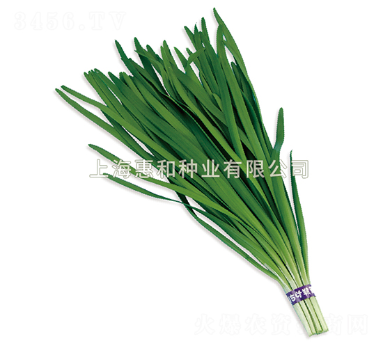 픾G-�²˷N��-�ݺͷN�I(y��)