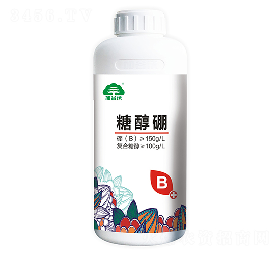 �Ǵ���-�ӹ���