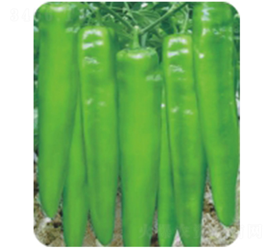 ��������-�����N��-�����r(n��ng)�I(y��)