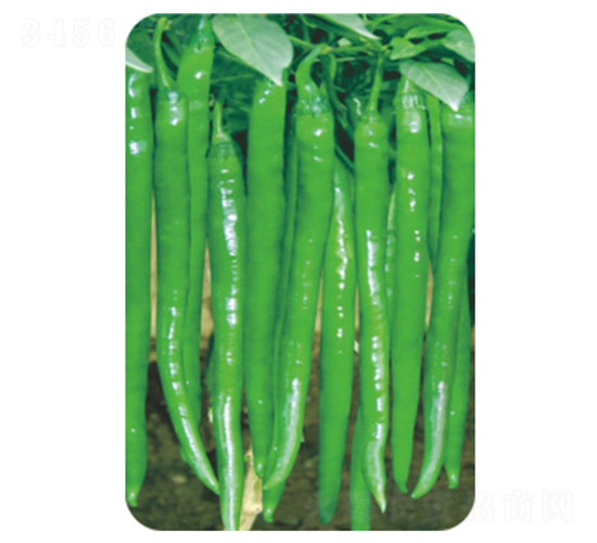 �L�S6̖-�����N��-�����r(n��ng)�I(y��)