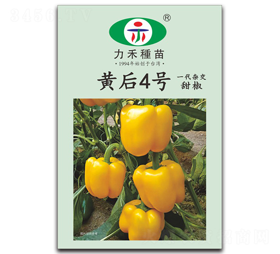 �S��4̖(h��o)-�����N��-�����r(n��ng)�I(y��)