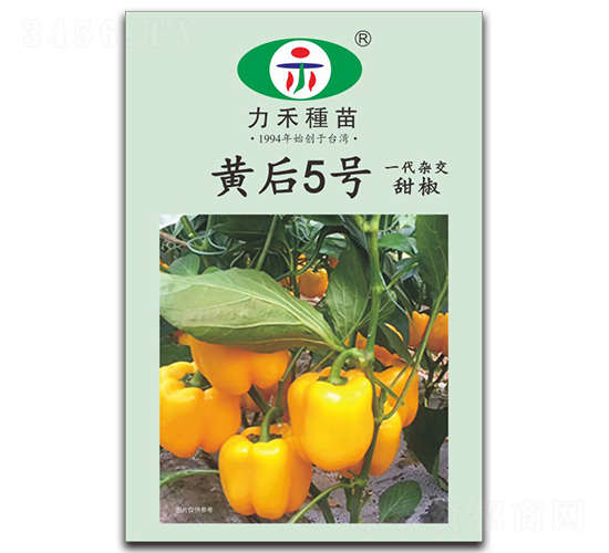 �S��5̖-�����N��-�����r(n��ng)�I(y��)