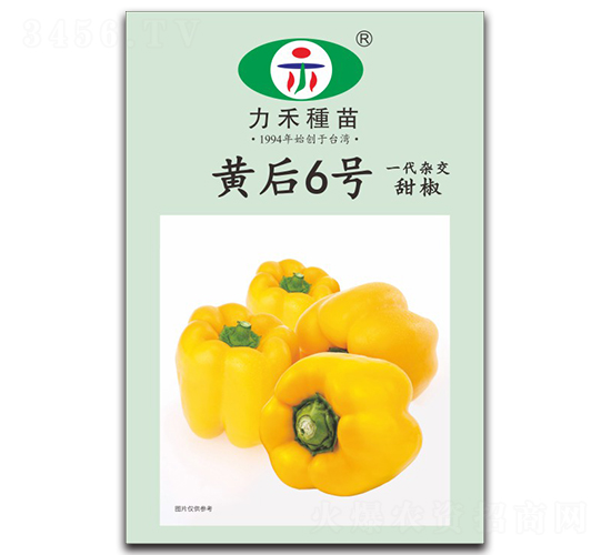 �S��6̖-�����N��-�����r(n��ng)�I(y��)