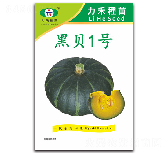 ��ؐ1̖-�ϹϷN��-�����r(n��ng)�I(y��)