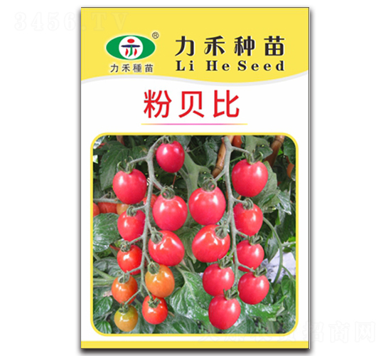 ��ؐ��-���ѷN��-�����r(n��ng)�I(y��)