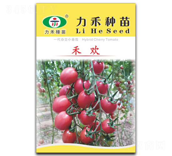 �̚g-���ѷN��-�����r(n��ng)�I(y��)