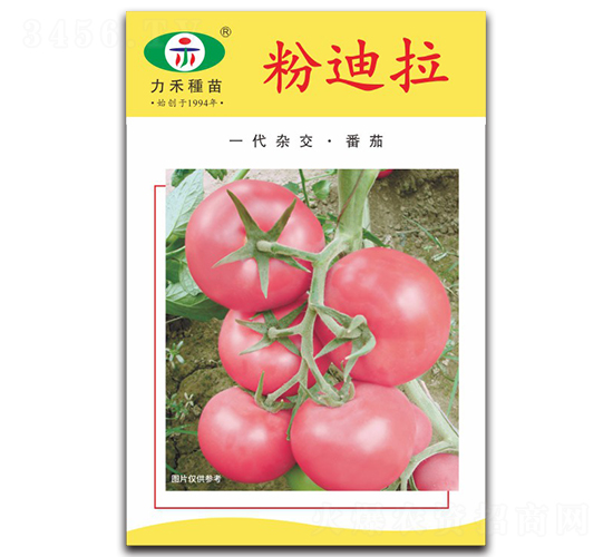 �۵���-���ѷN��-�����r(n��ng)�I(y��)