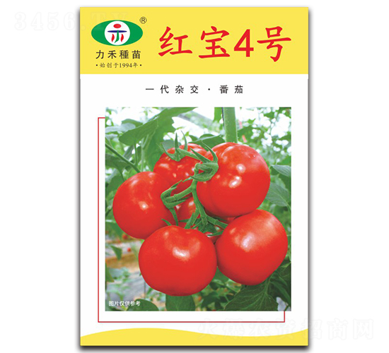 �t��4̖(h��o)-���ѷN��-�����r(n��ng)�I(y��)